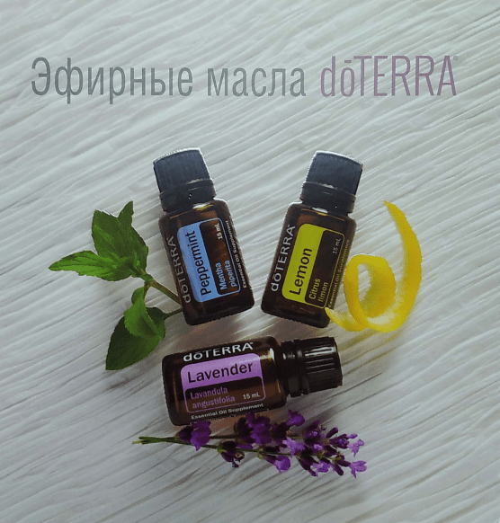 Каталог (Русский)